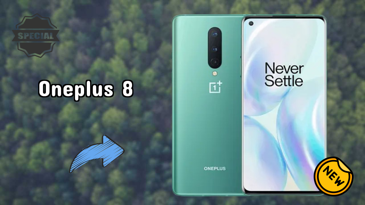 OnePlus 8 Camera Samples: 48 MP + 16 MP + 2 MP Rear Camera Real Photos