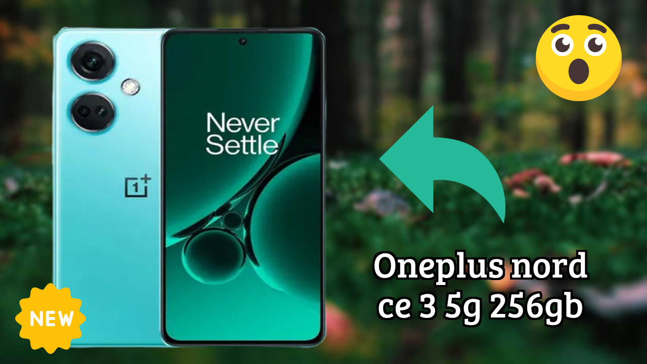 OnePlus Nord CE 3 5G 256GB Camera Samples: 50 MP + 8 MP + 2 MP Rear Camera Real Test