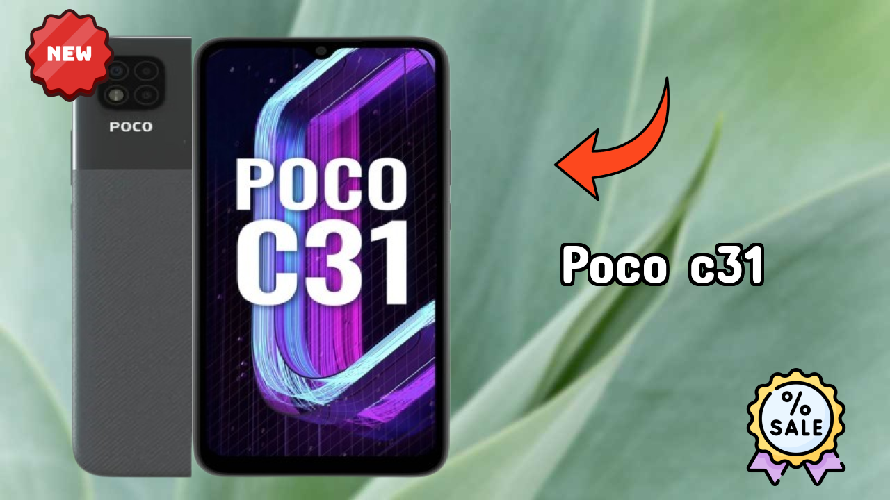 POCO C31 Display Technology: 6.53 Inches (16.59 Cm) Screen